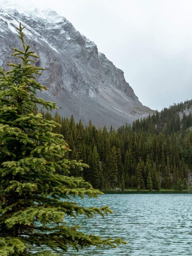 Hiking to a Stunning Alpine Lake – Chester Lake Trail, Kananaskis