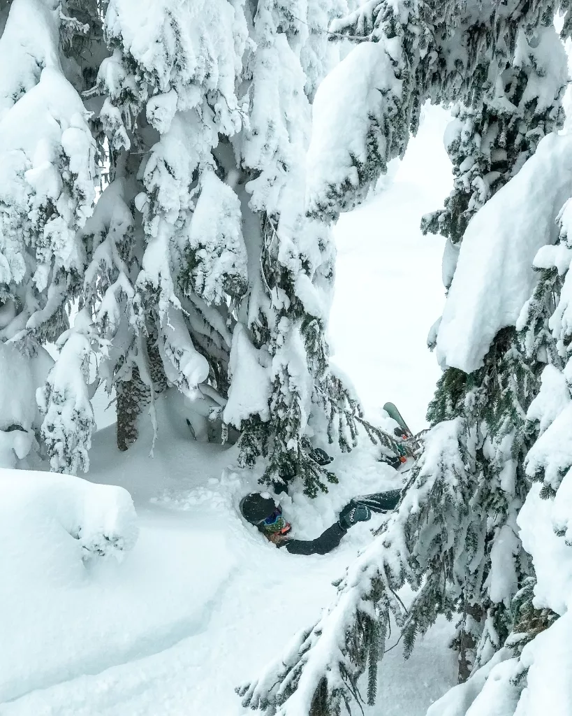 Skier wiped out under snow-covered trees at Big White Ski Resort in British Columbia, Canada during a heavy powder day.