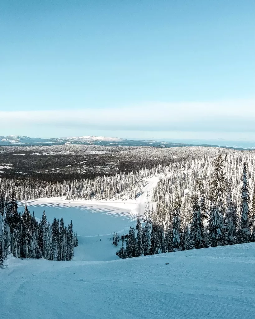 Snow-covered mountain slope and panoramic forest view at Big White Ski Resort in British Columbia on a clear blue sky day (a bluebird day).