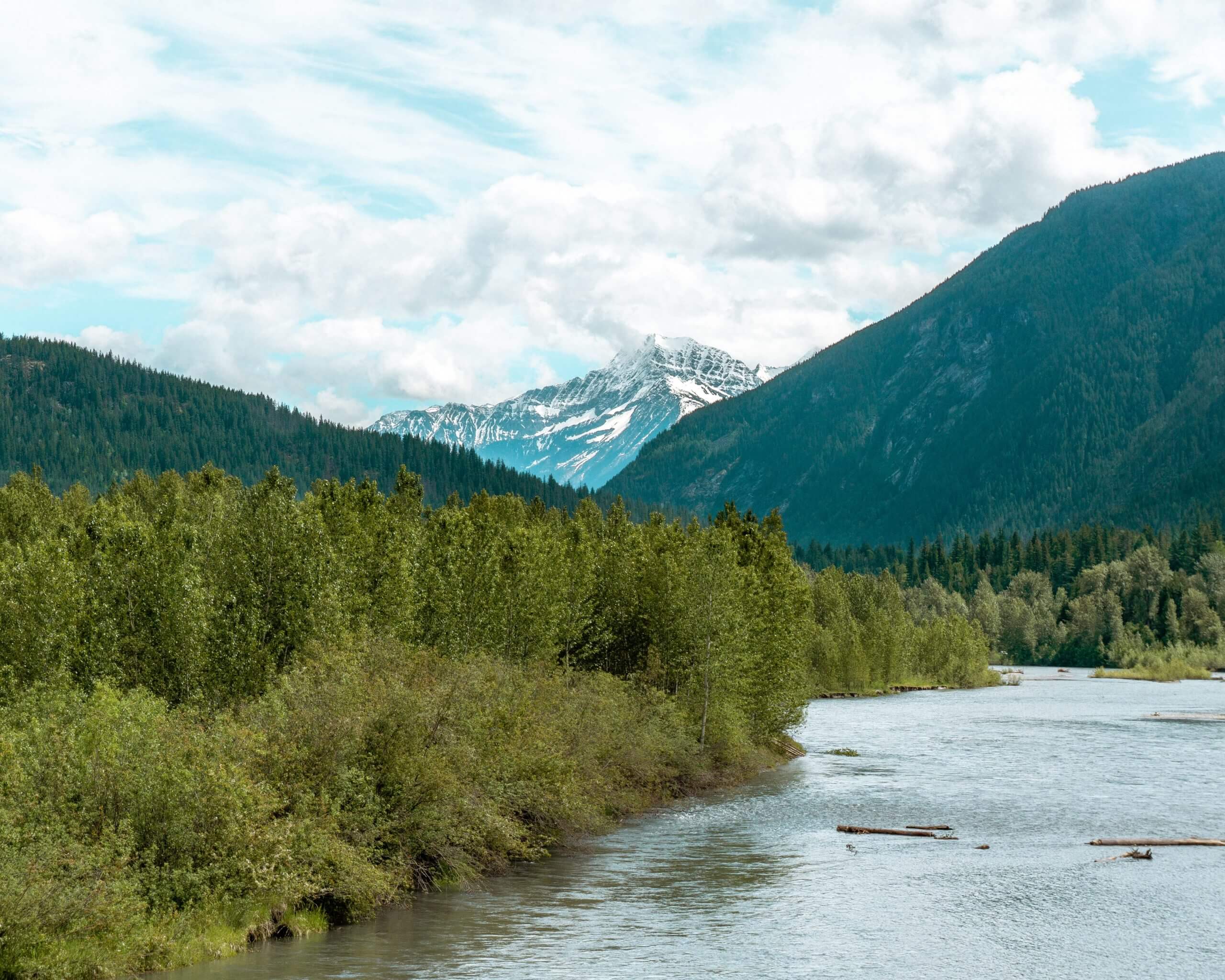 Mt Revelstoke National Park.