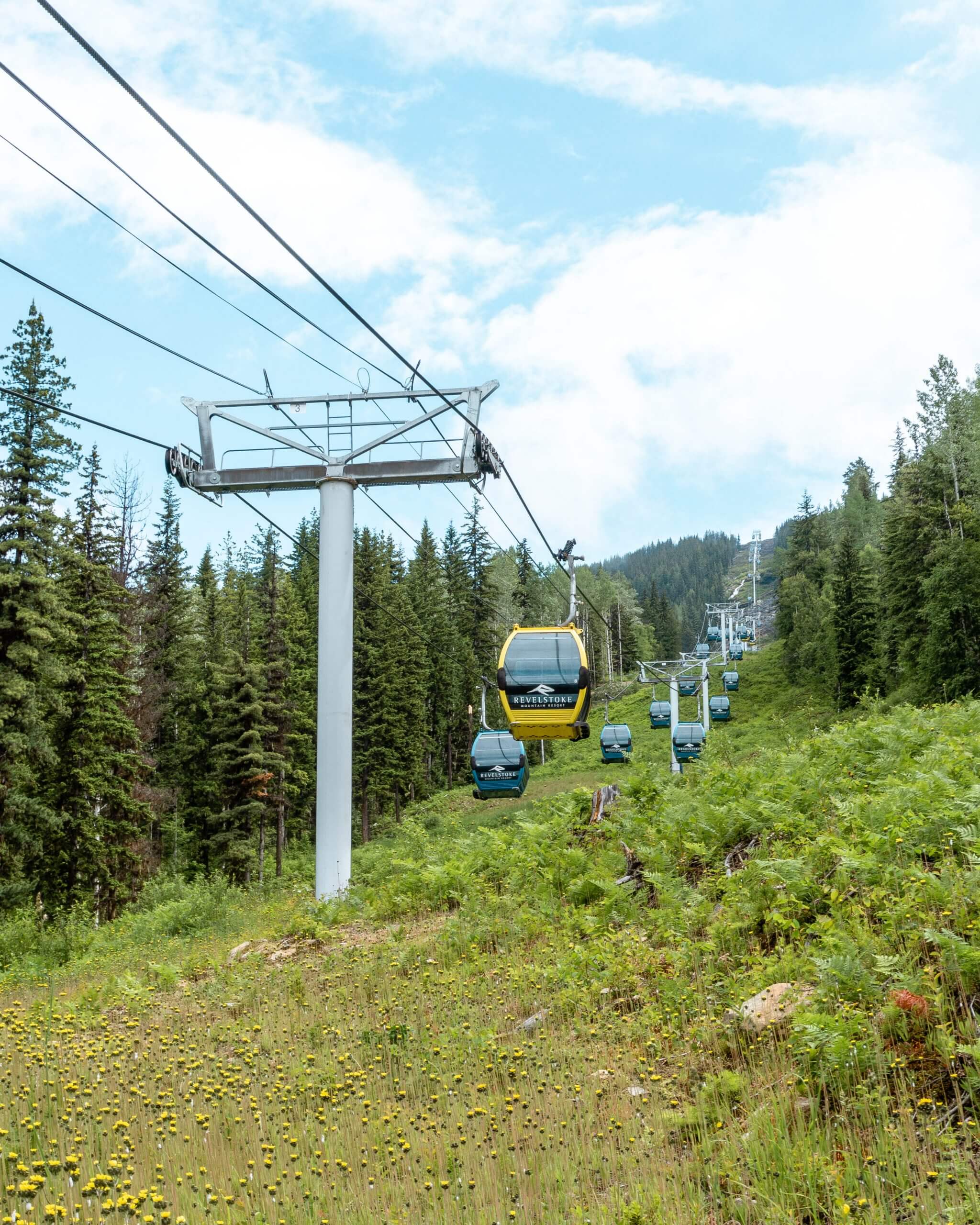 Gondolas at Revelstoke Mountain Resort