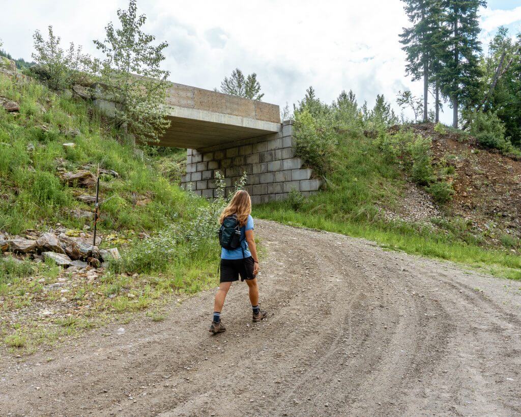 Dom enjoying the outdoors in Revelstoke