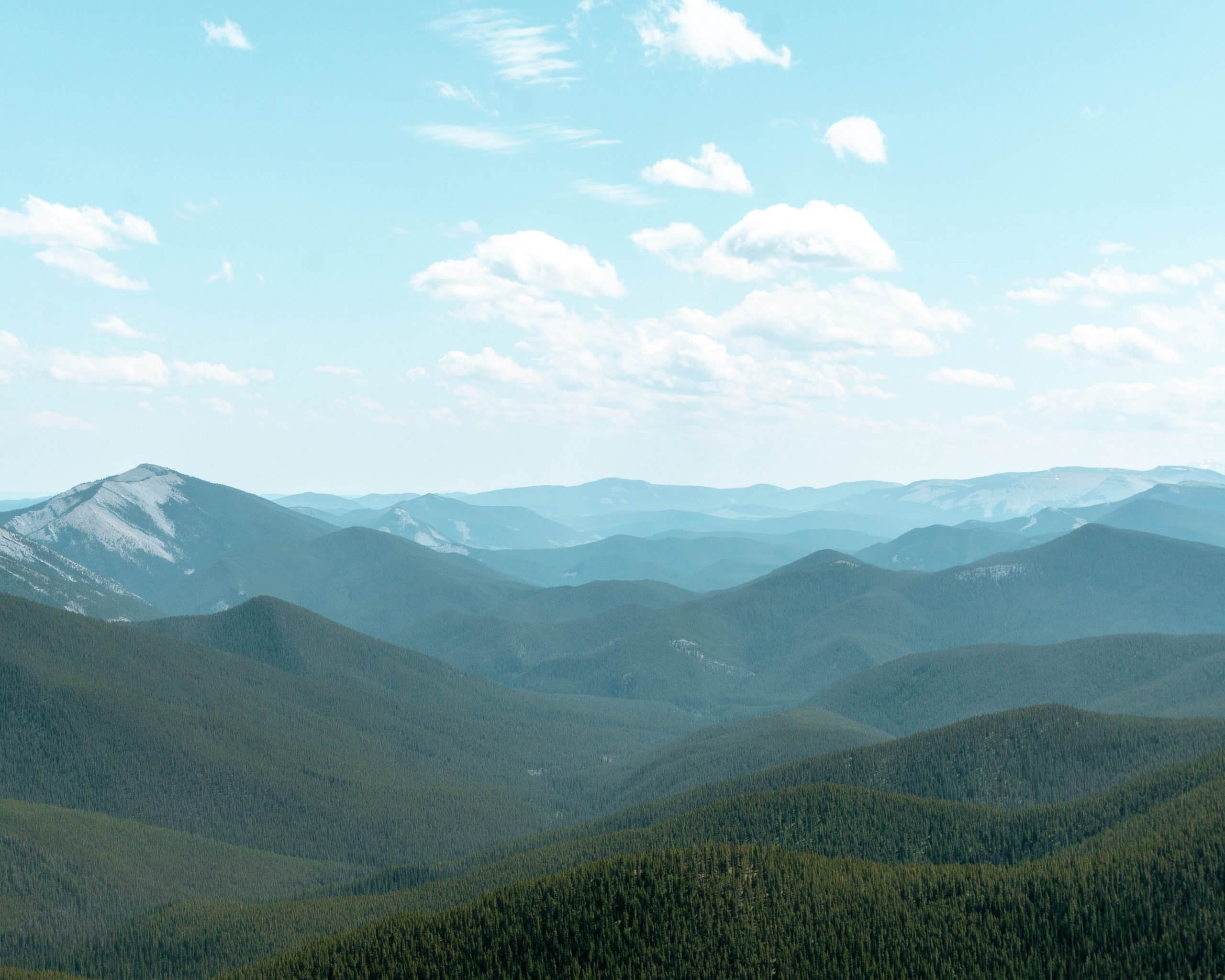 Views from a hike near Bragg Creek.