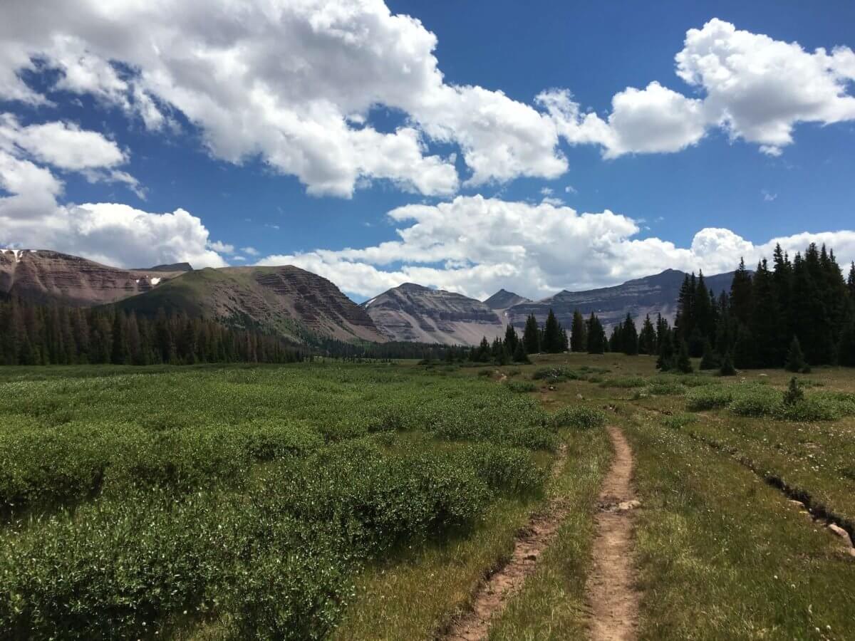 Views from Kings Peak Trail in Utah,