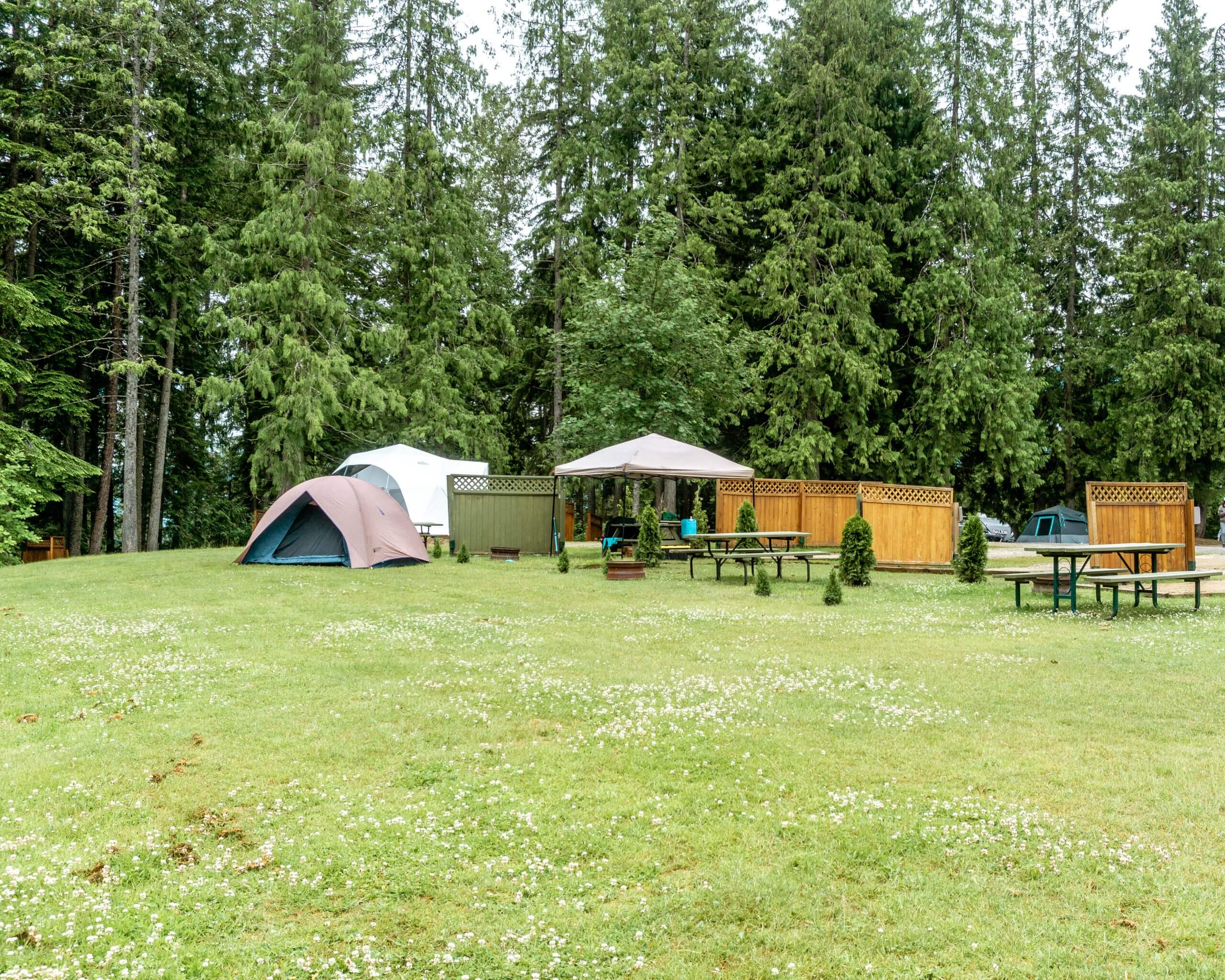 Williamson Lake Campground Revelstoke.