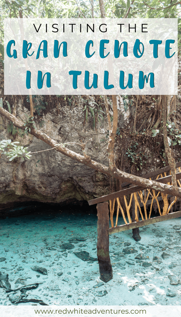 Pin for Pinterest of Gran Cenote in Tulum.