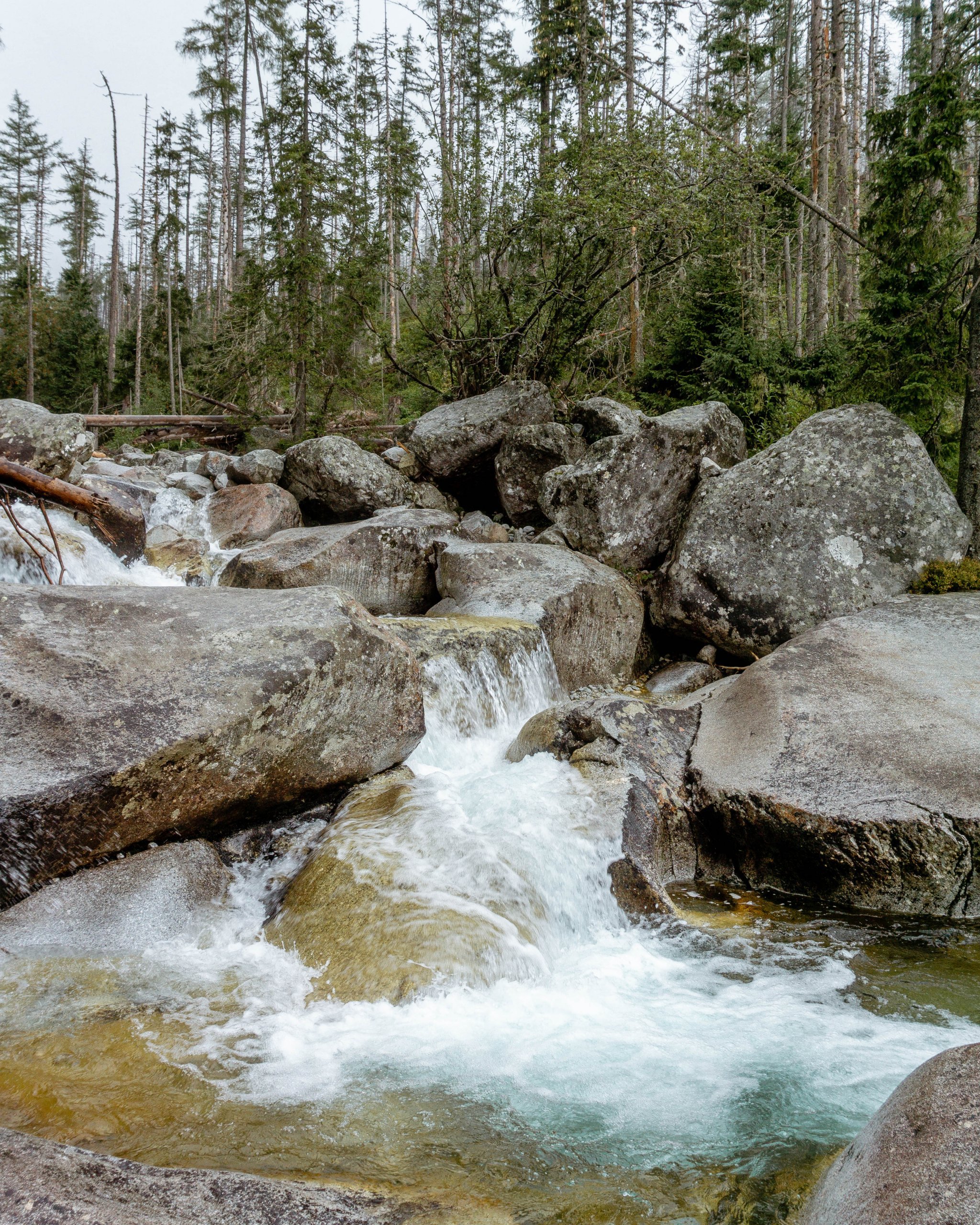 Nature in Slovakia.