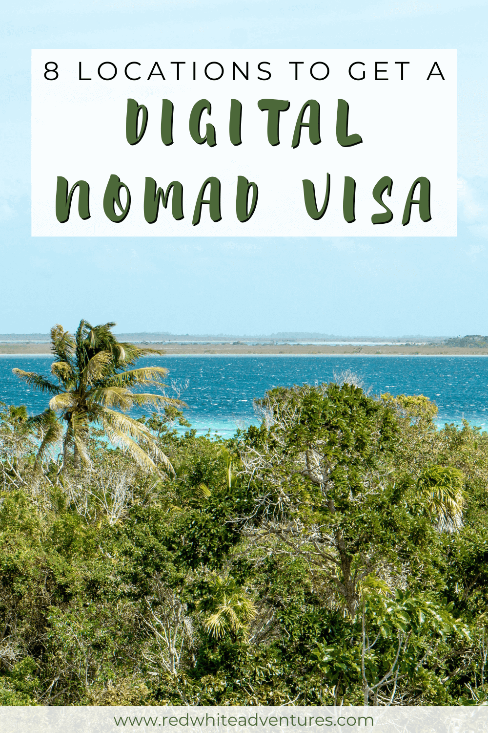 Pin for Pinterest for Digital Nomad Visas.
