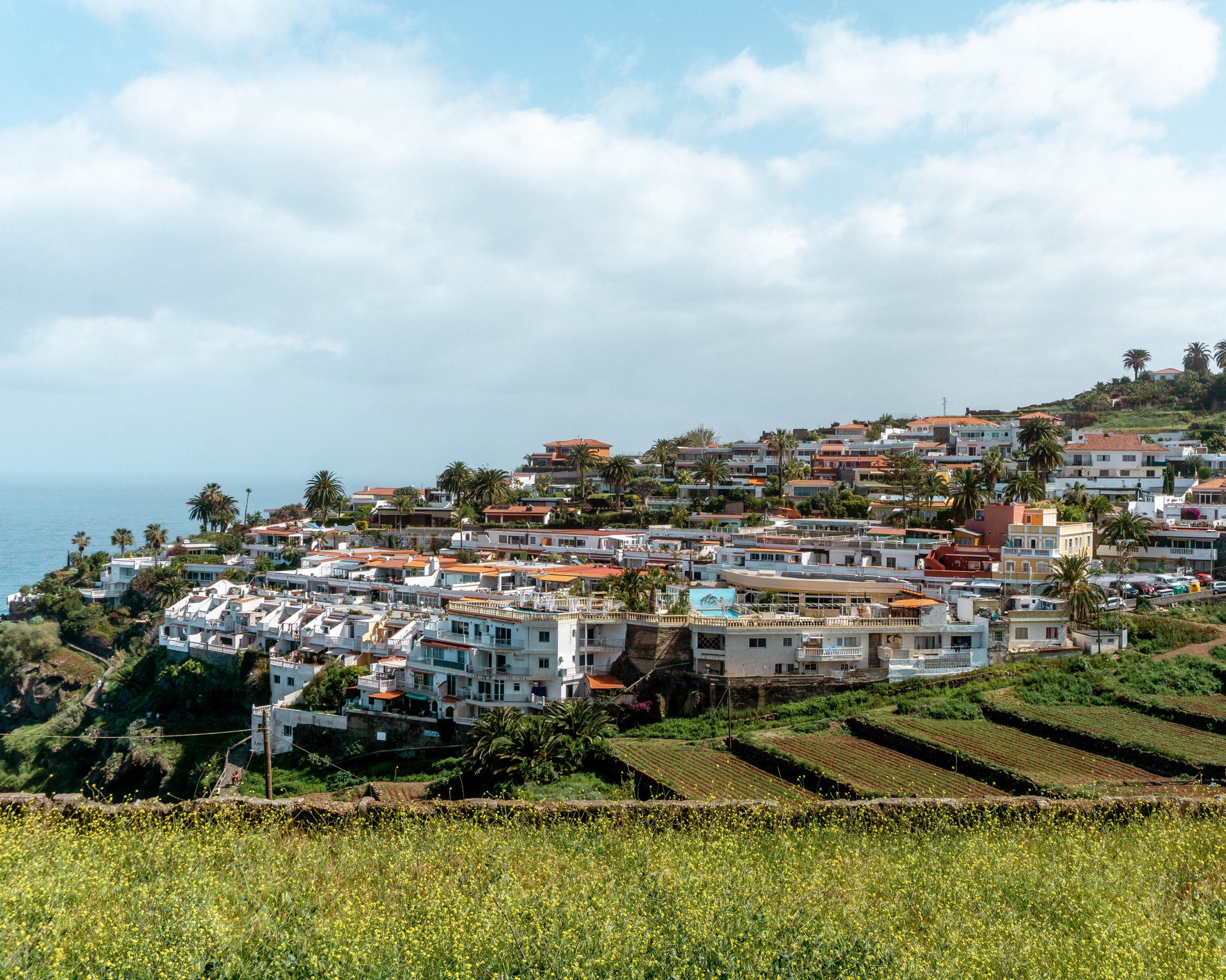 Houses in Puerto de la Cruz.