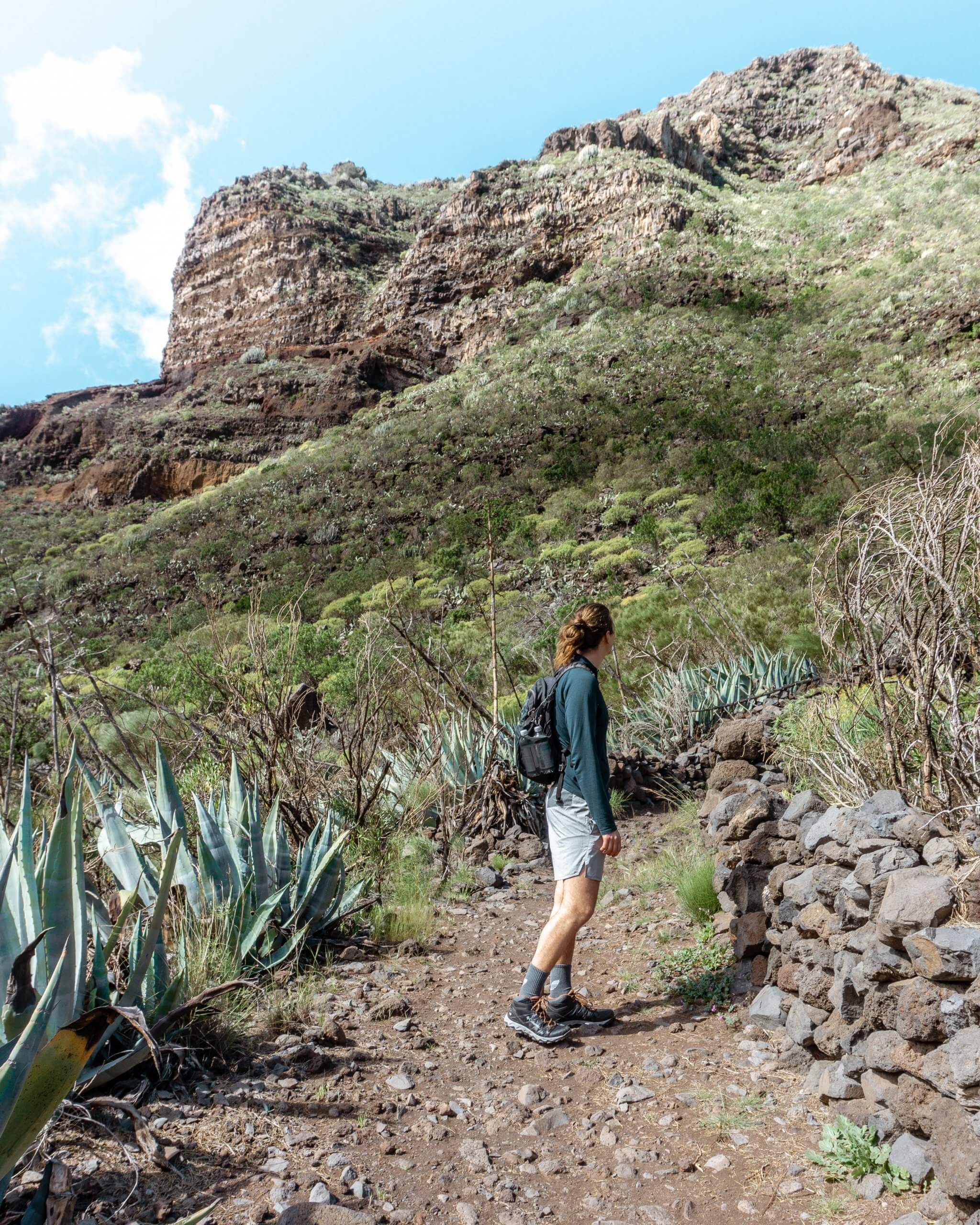 Hiking trail in Tenerife.