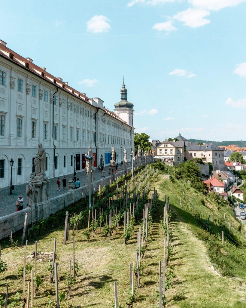 A small vineyard in Kutna Hora, Czech Republic.