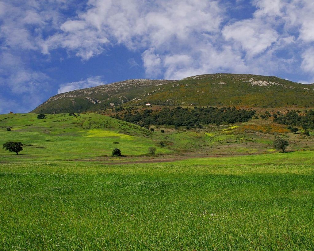 Beautiful photo of the Portuguese countryside near Serra de Montejunto National Park.