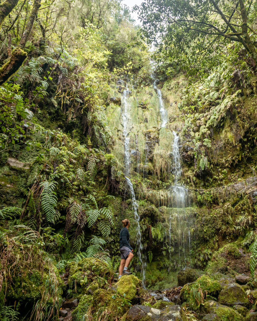 Photo of a small but stunning waterfall in Madeira.