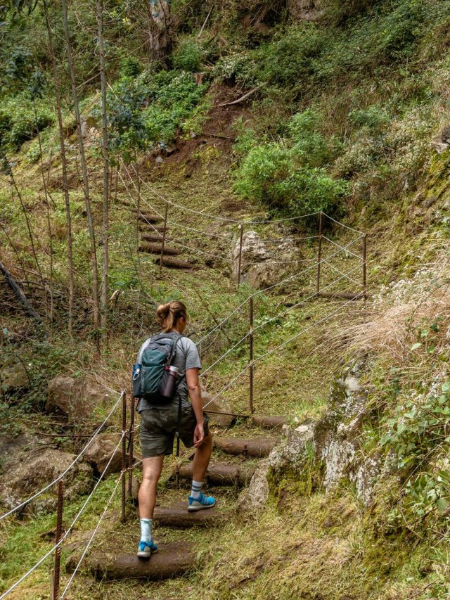 Hiking the Local Levada Do Bom Sucesso in Funchal