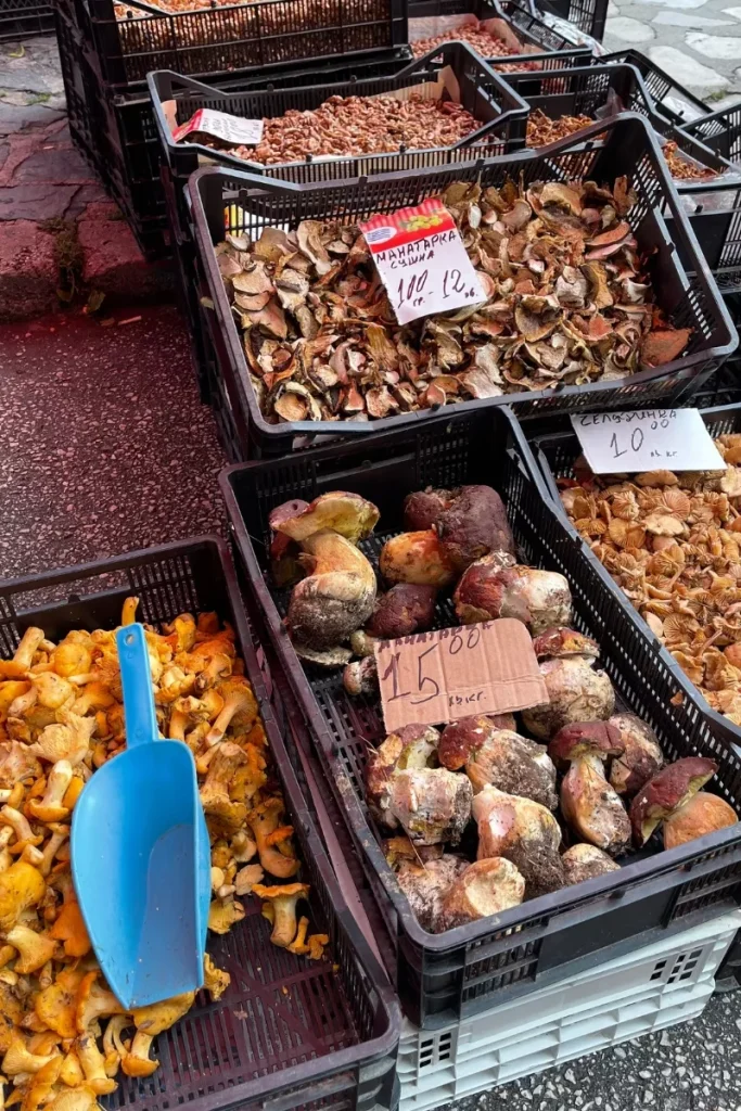 Local mushrooms at the Sunday market in Bansko.