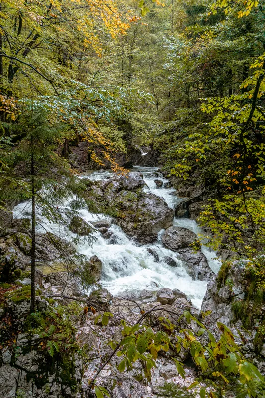 Beauitful water flowing - Savica Falls.