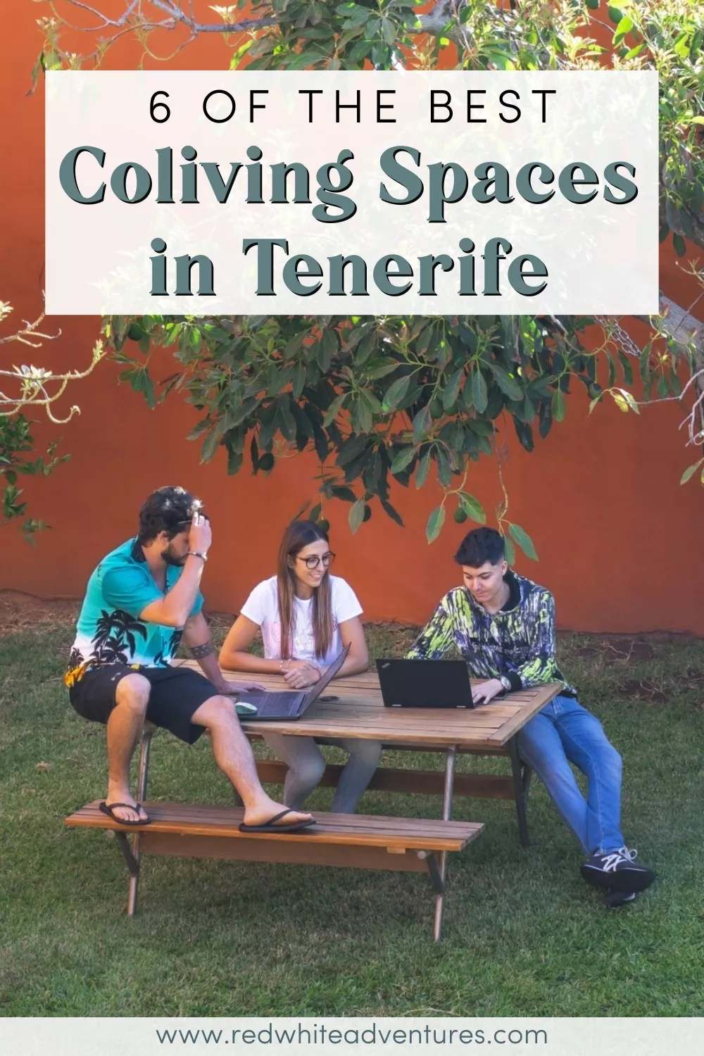 Pinterest graphic with text overlay: “6 of the best Coliving Spaces in Tenerife.” Shows three people working on laptops under a tree in a garden.