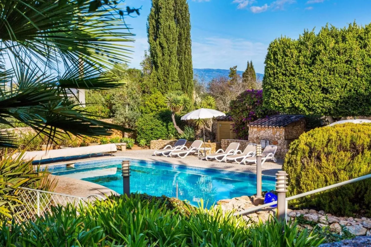 A relaxing pool area at a countryside bed and breakfast, with lounge chairs, umbrellas, and views of the surrounding hills and greenery.