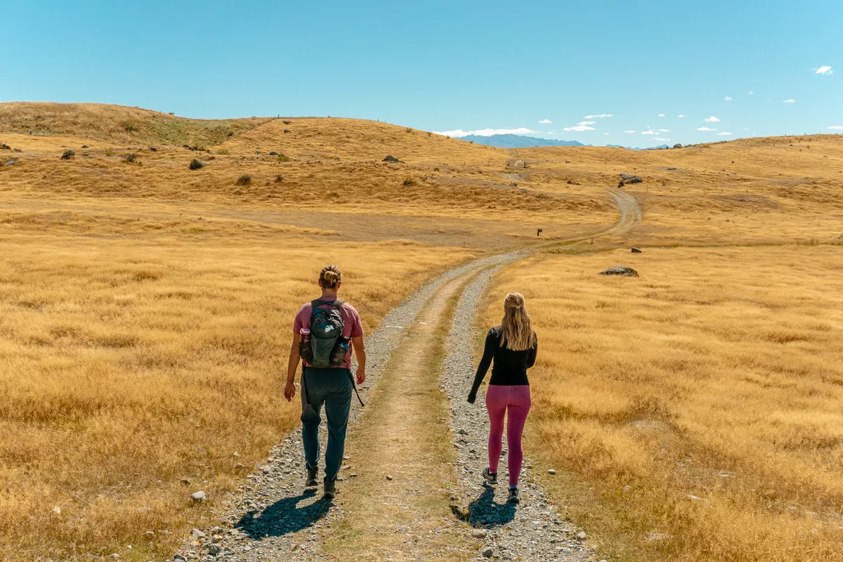 Two hikers walk along a gravel path that winds through golden fields and gentle hills on the Pukaki Kettle Hole Track under a bright blue sky.