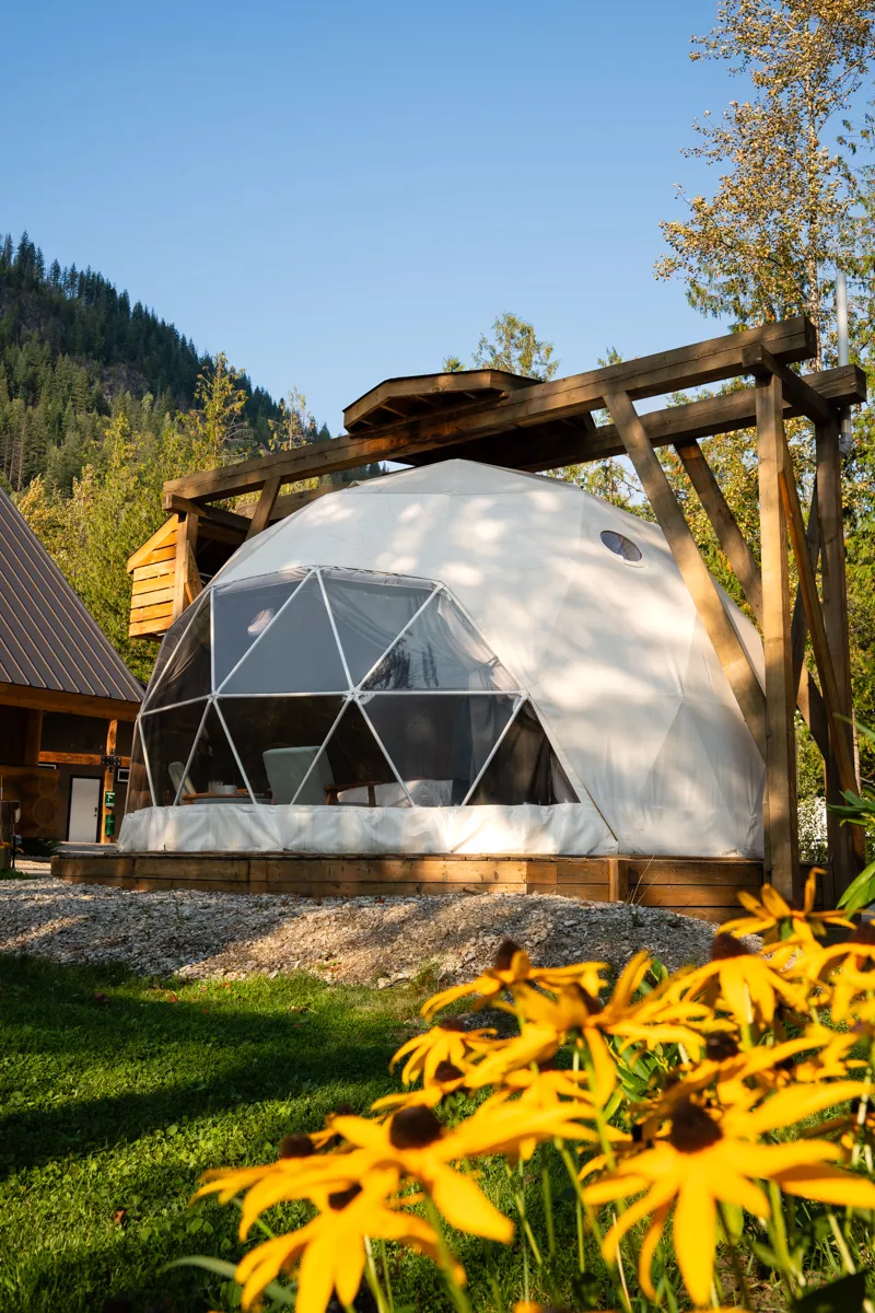 A white geo glamping dome with large windows sits on a wooden platform, framed by yellow wildflowers and surrounded by pine-covered hills under a clear blue sky.
