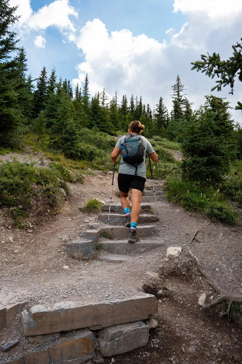 A hiker climbs a rugged stone staircase surrounded by alpine greenery, trekking poles in hand, under a sky dotted with white clouds.