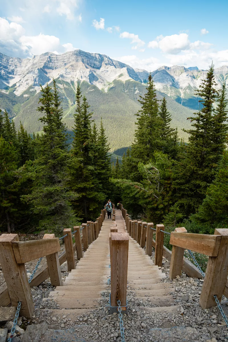 A long wooden staircase ascends through dense forest, leading toward dramatic mountain views; hikers make their way up from the shaded path below.