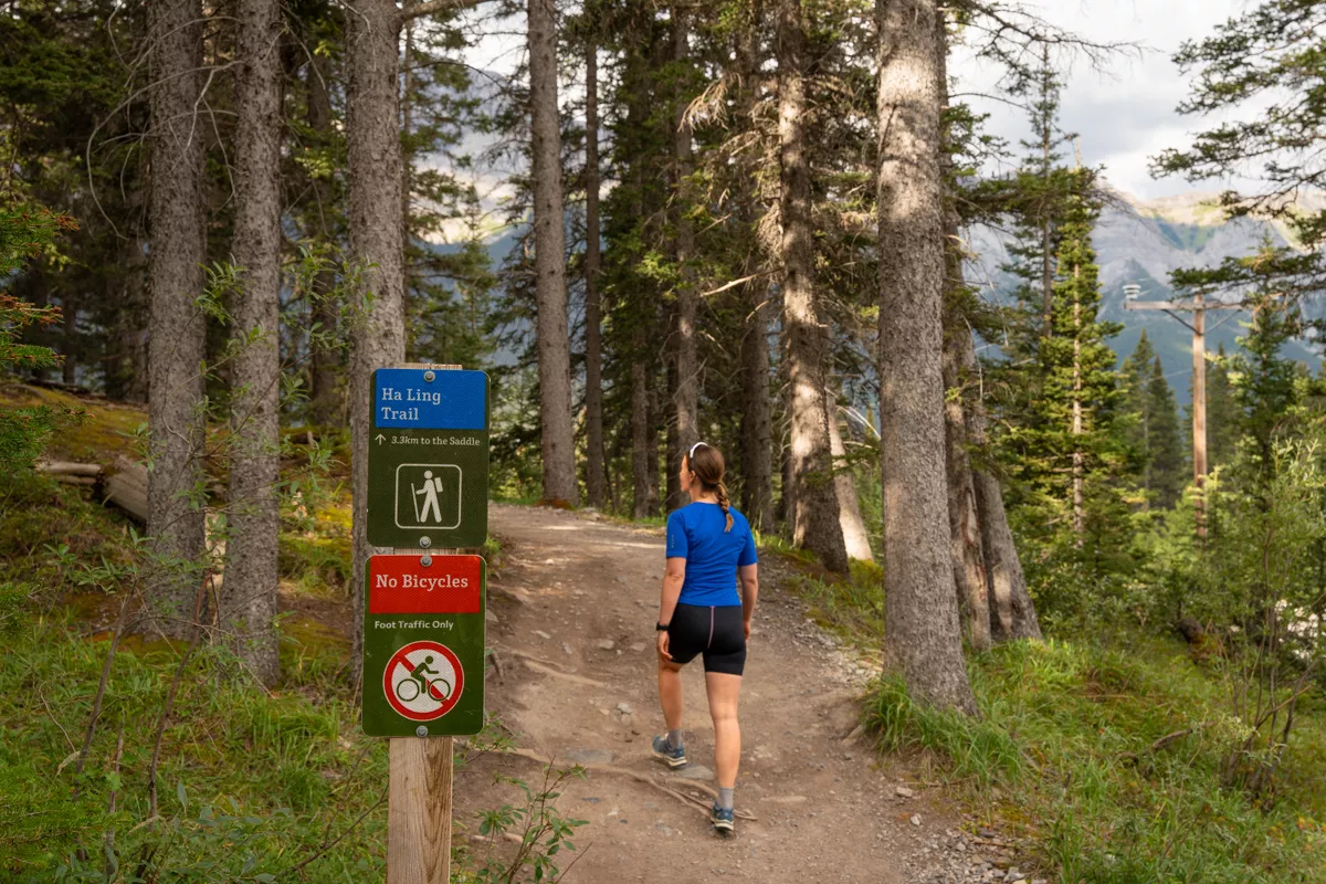 A hiker in a blue shirt and black shorts walks along a forested dirt path at the start of the Ha Ling Trail, surrounded by tall pine trees. A trail sign indicates 3.8 km to the saddle and clearly states “No Bicycles – Foot Traffic Only.”
