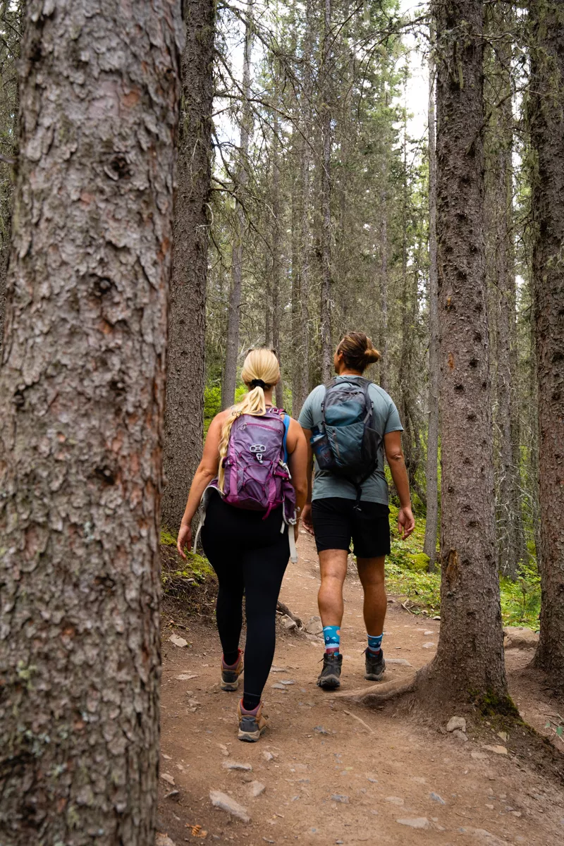 Two hikers walk side by side along a forested trail, surrounded by tall, slender pine trees. Both carry backpacks and wear sturdy hiking gear as they move through the dense woodland.
