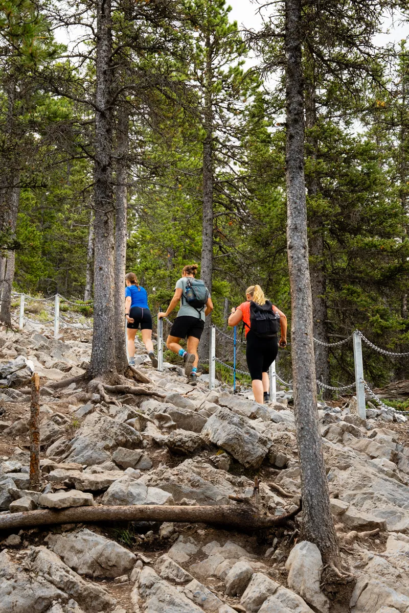 Three hikers climb a rocky, tree-lined section of trail with a rope handrail guiding the way. The path is steep and uneven, bordered by dense forest on either side.