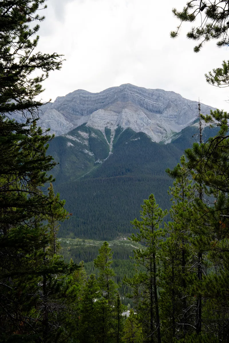 View of a rugged, layered mountain rising above a dense evergreen forest, partially framed by pine branches in the foreground. The overcast sky casts soft, diffused light across the dramatic rock face and surrounding valley.