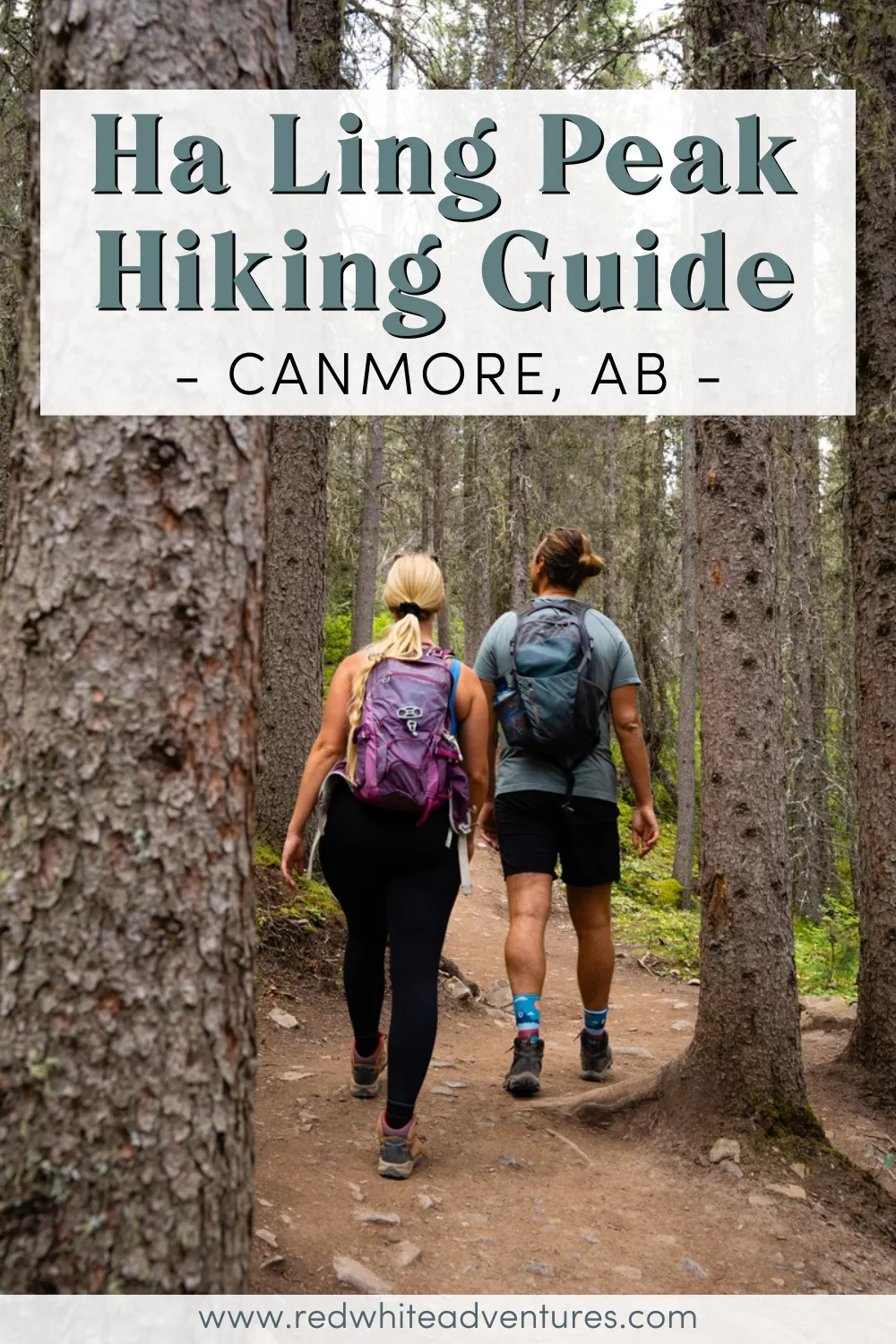 Two hikers with backpacks walk through a dense pine forest on a dirt trail. Overlaid text reads “Ha Ling Peak Hiking Guide – Canmore, AB”.