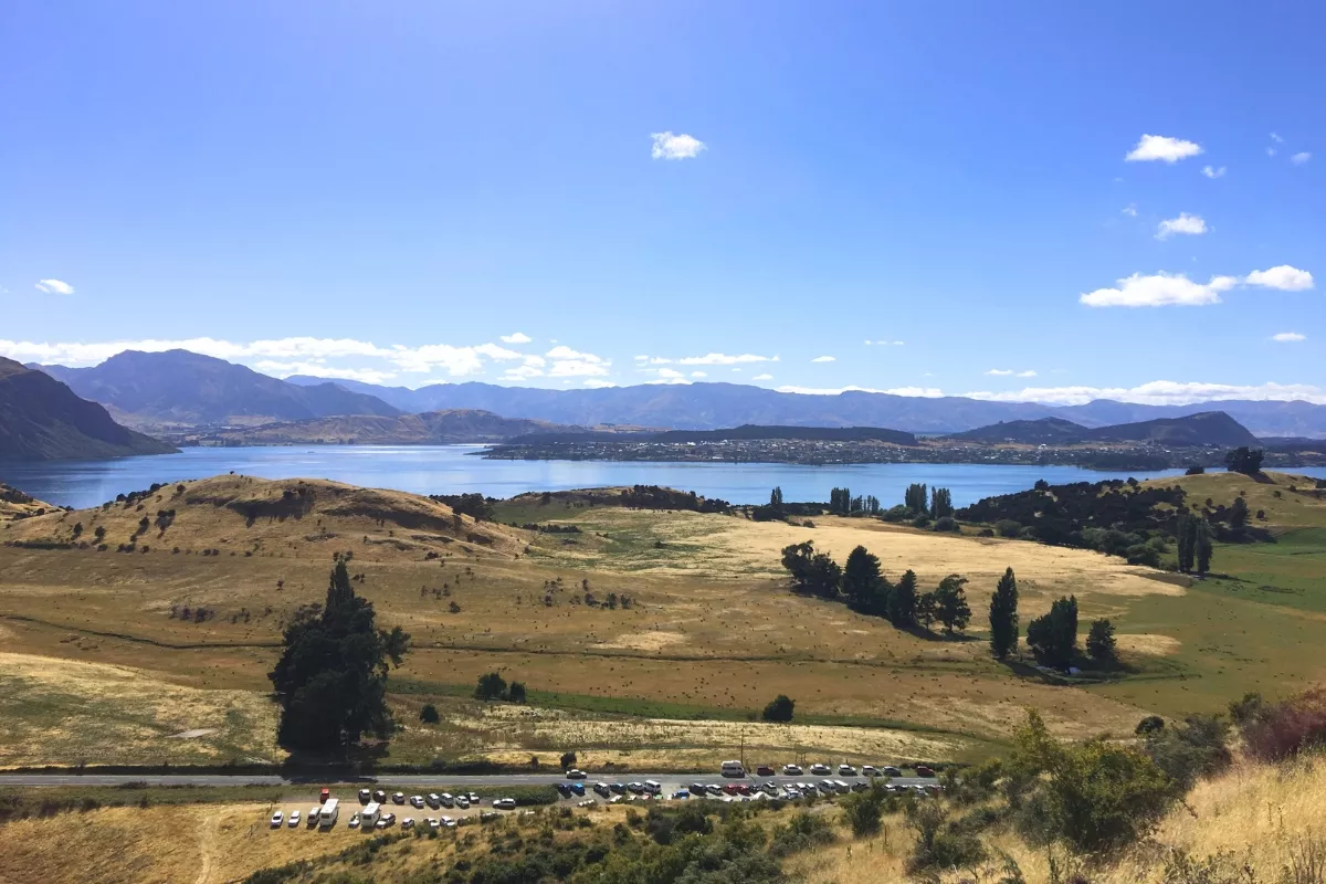 A view from the Roys Peak Track trailhead parking area, with rows of parked cars lined up below rolling golden hills and grassy fields.