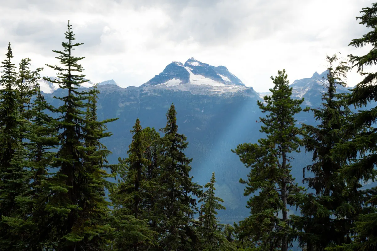 View of Mount Begbie in Revelstoke, British Columbia, framed by tall evergreen trees, with sun rays breaking through the clouds and illuminating a section of the mountainside.
