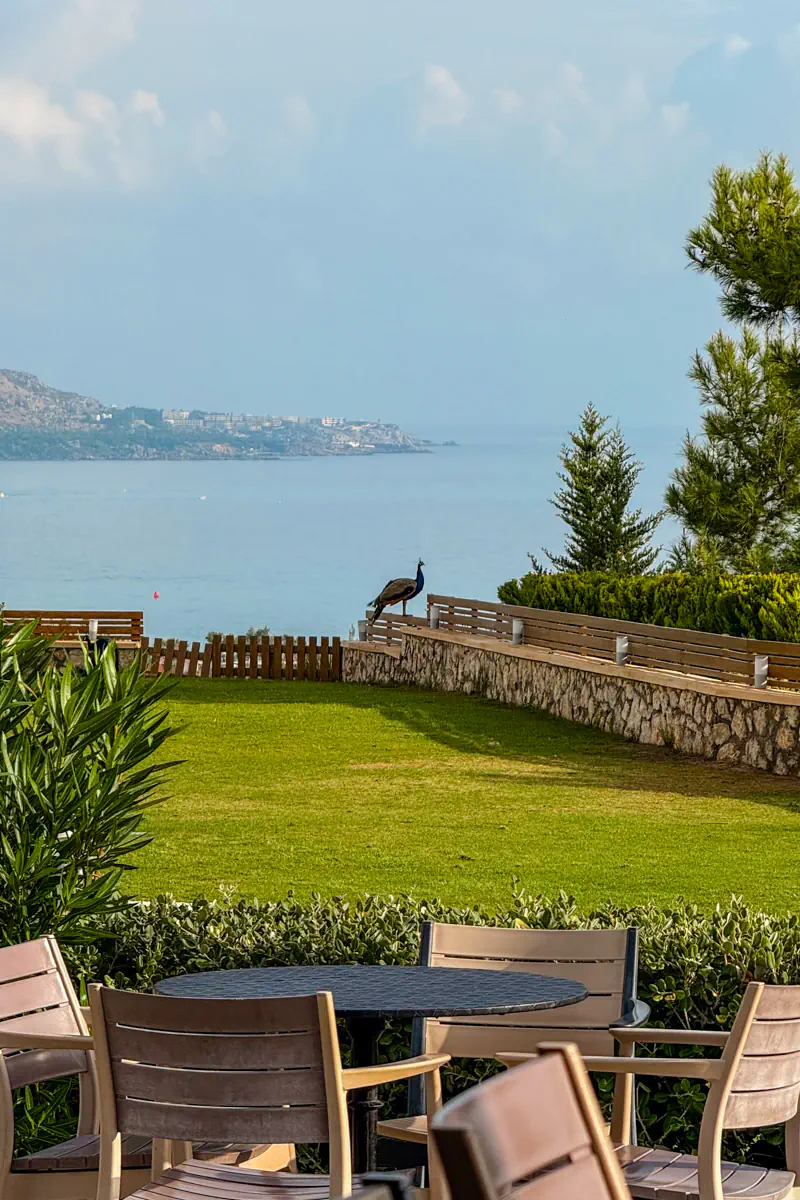 A scenic seaside lawn in Rhodes with patio seating in the foreground, a peacock perched on a stone wall, and a view of the coastline in the distance.