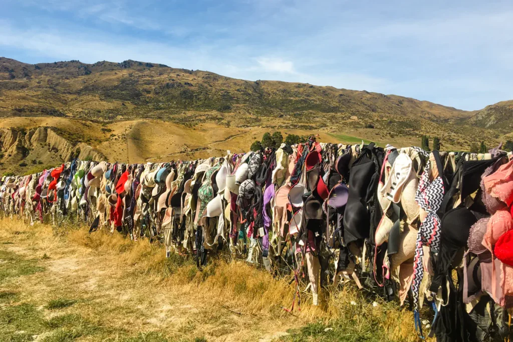 A long fence covered with hundreds of bras stretches across a dry hillside landscape in Central Otago, New Zealand. The colourful display contrasts with the rugged mountains and is a well-known roadside attraction.