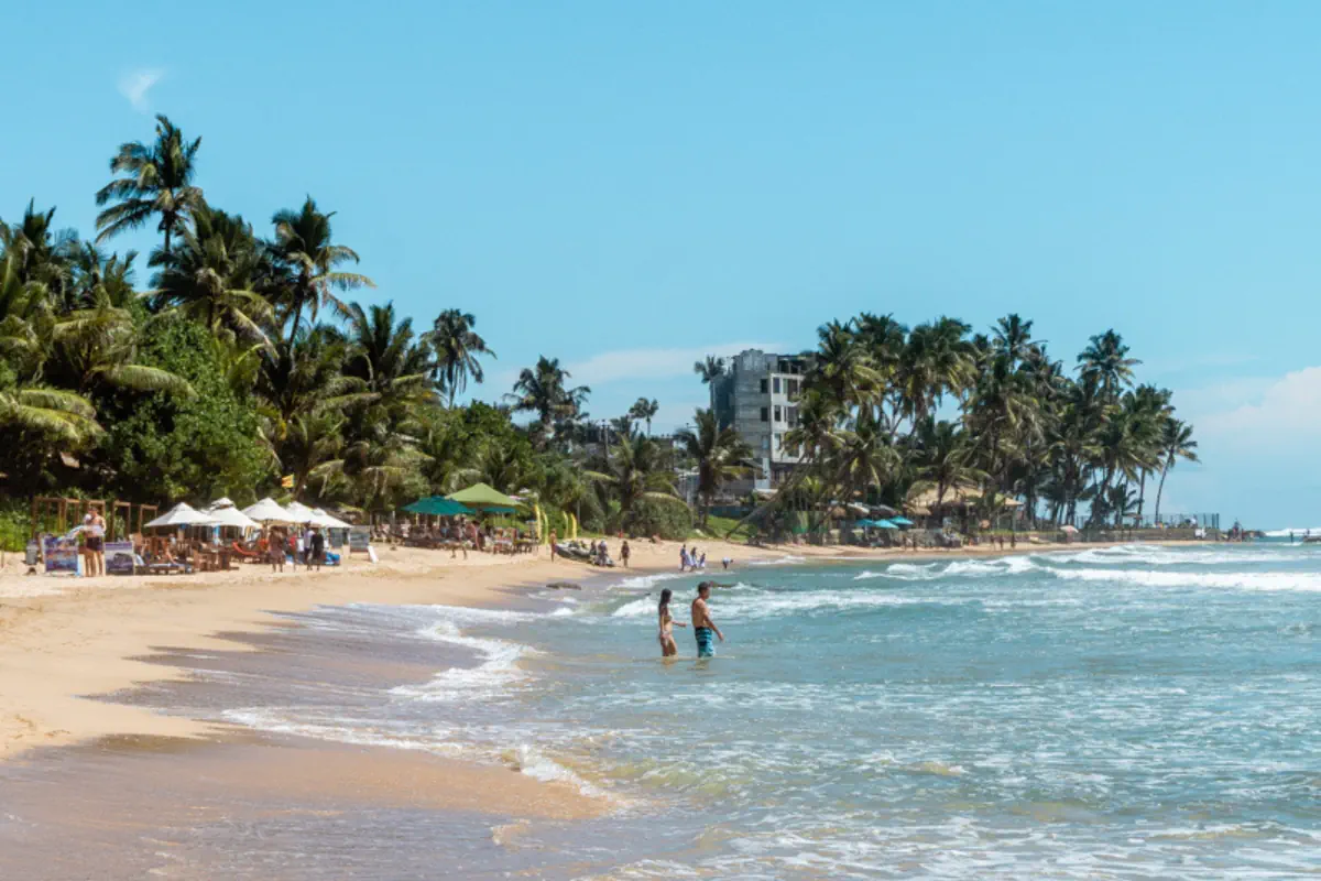 Palm-lined Mirissa Beach in Sri Lanka with gentle waves rolling onto golden sand. People wade and swim in the warm Indian Ocean under a clear blue sky.