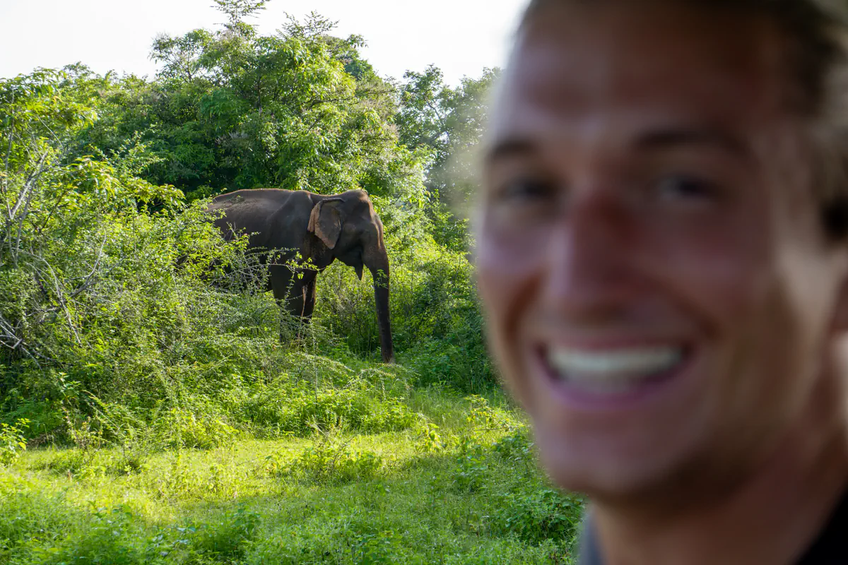 A wild elephant grazes in lush green forest while a tourist in the foreground grins excitedly, partially out of focus.