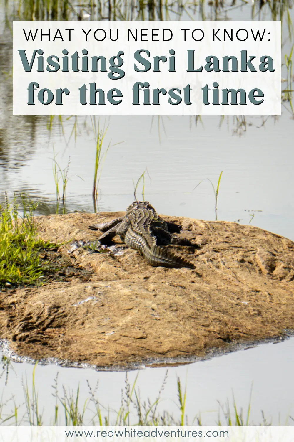 A crocodile basks on a muddy patch beside still water, under a Pinterest overlay that reads “What You Need to Know: Visiting Sri Lanka for the First Time”.