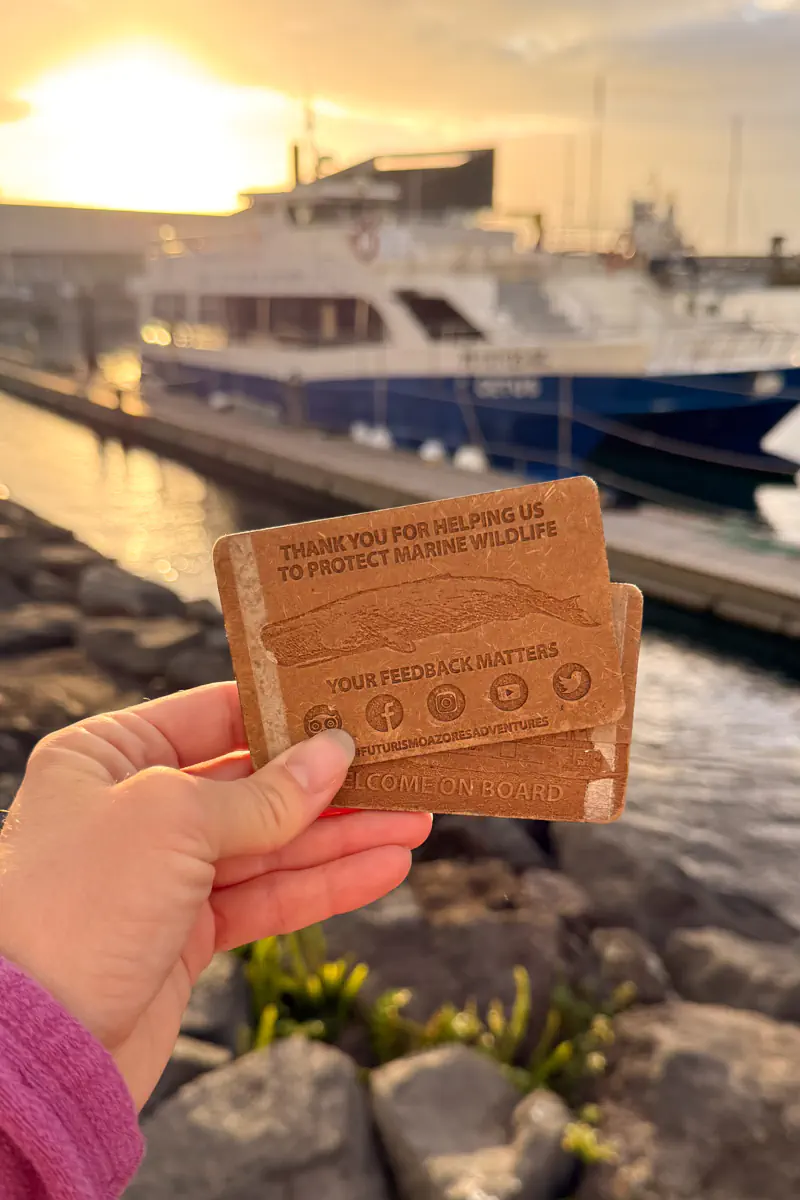A hand holds a small card reading “Thank you for helping us to protect marine wildlife” at the marina in Ponta Delgada during sunrise. A whale-watching boat is docked in the background with warm golden light reflecting on the water.
