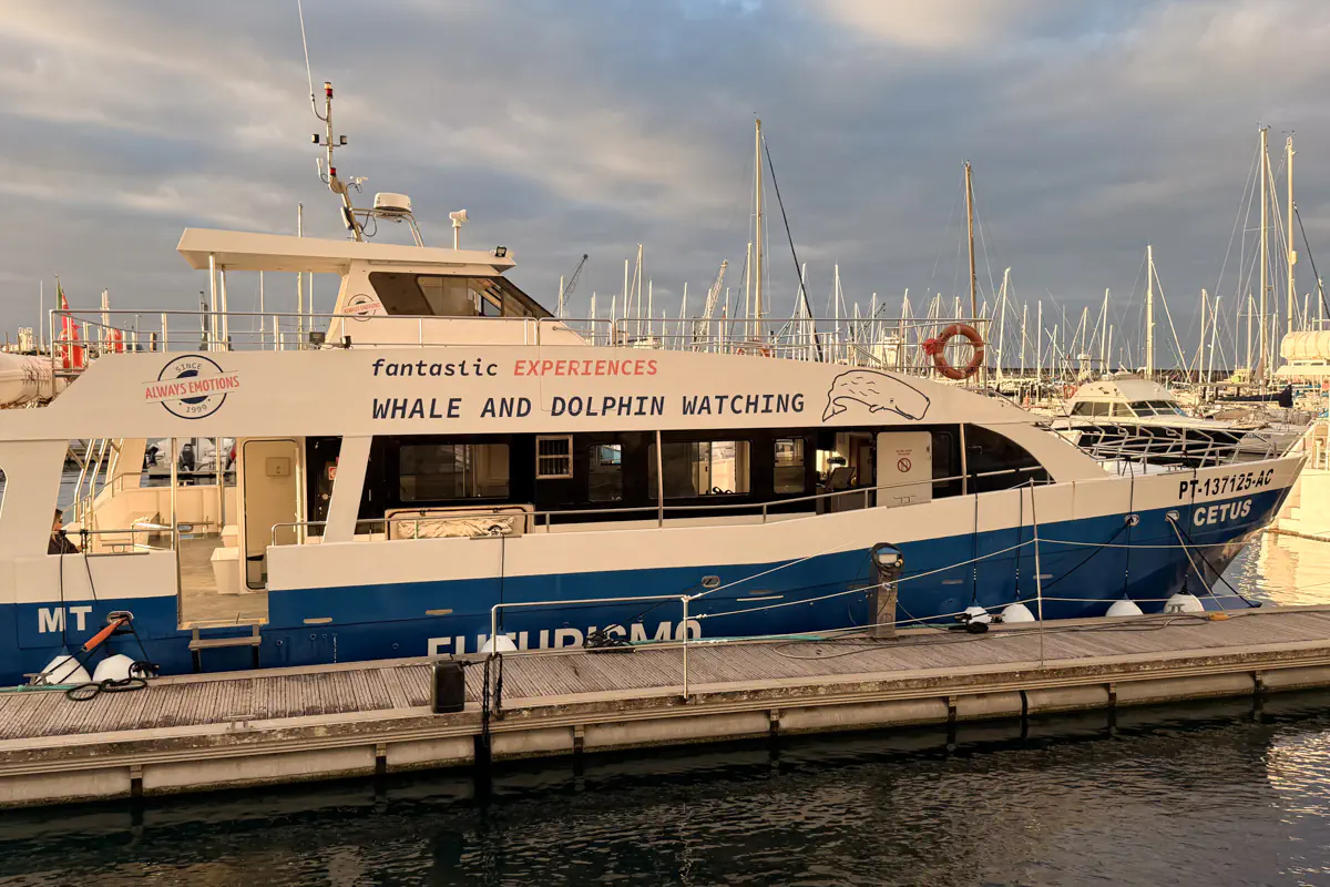 A whale and dolphin watching catamaran stating “Fantastic Experiences” is docked at the marina in Ponta Delgada, São Miguel Island. Sailboat masts and calm harbour waters surround the vessel in soft evening light.