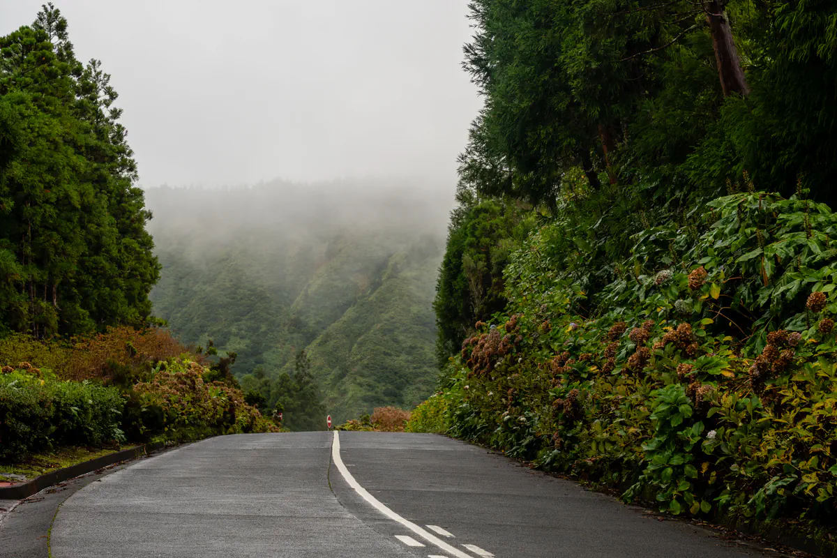A narrow paved road descends into a misty green valley surrounded by dense forest on São Miguel Island. Low clouds hang over the hills, creating a moody atmosphere.