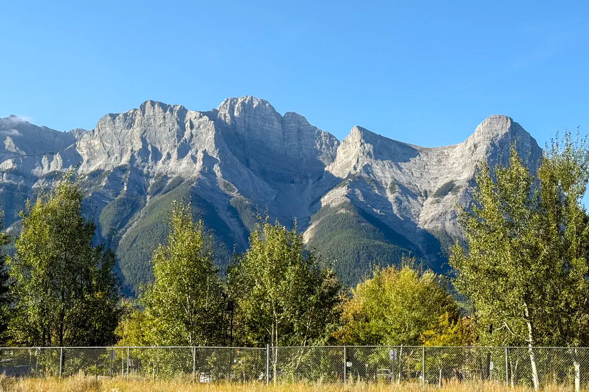 Rocky mountain peaks rising behind trees in Canmore, Alberta under a clear blue sky.