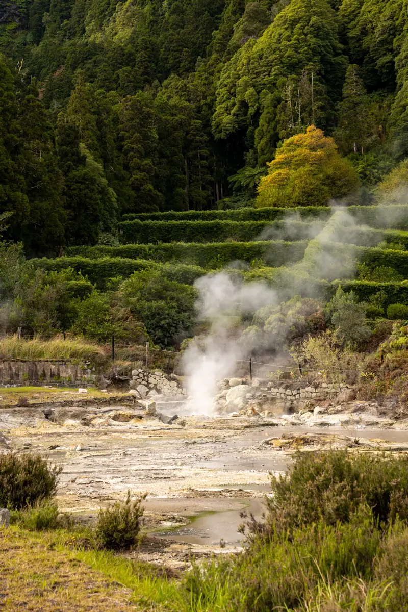 Steaming geothermal vents and muddy ground surrounded by lush green forest and shrubs in Furnas on São Miguel Island, Azores.
