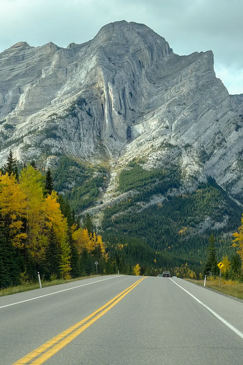 A scenic road leading toward a large rocky mountain, with autumn trees lining the sides and a car driving ahead.