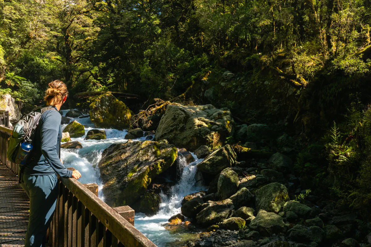Person standing on a wooden bridge looking out at a fast-flowing river and small waterfalls surrounded by mossy rocks and dense forest in Fiordland National Park, New Zealand.