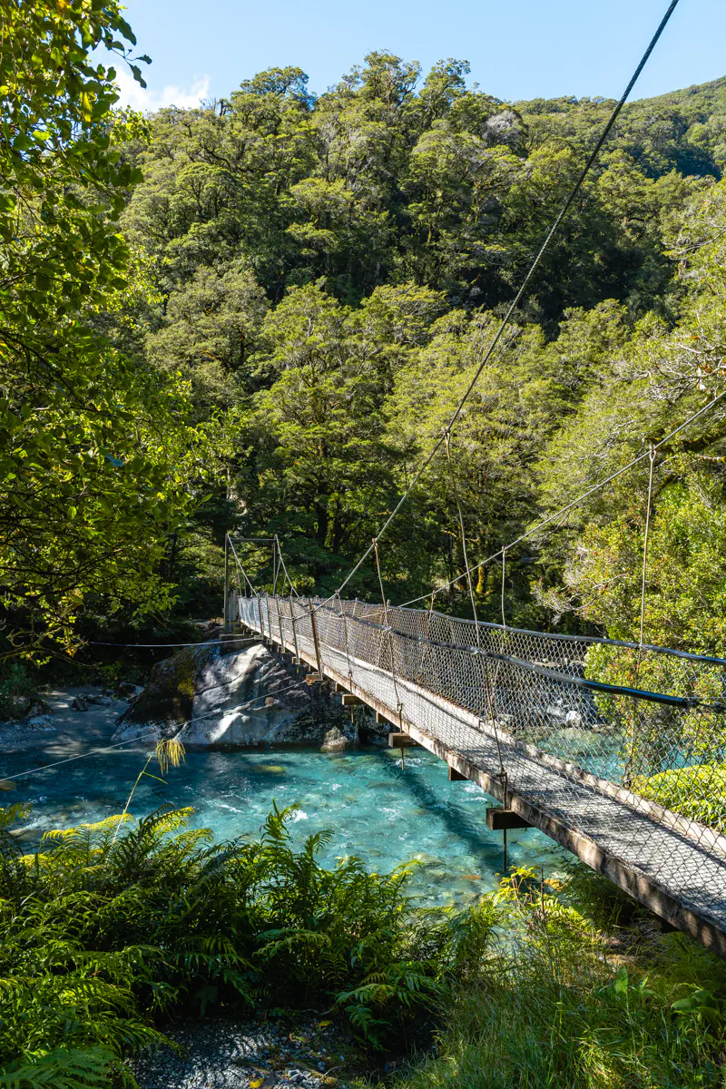 Suspension bridge crossing a bright turquoise river in a lush forest in Fiordland National Park, New Zealand. The narrow bridge is surrounded by dense green vegetation and clear, flowing alpine water below.