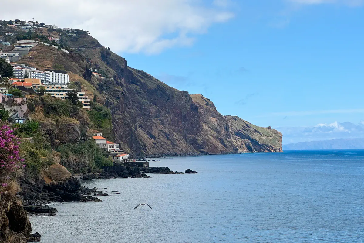 Steep coastal cliffs in Madeira rise above the calm Atlantic Ocean, with white buildings scattered along the rugged shoreline. A seabird flies low over the water as the dramatic headlands stretch into the distance under a blue sky.