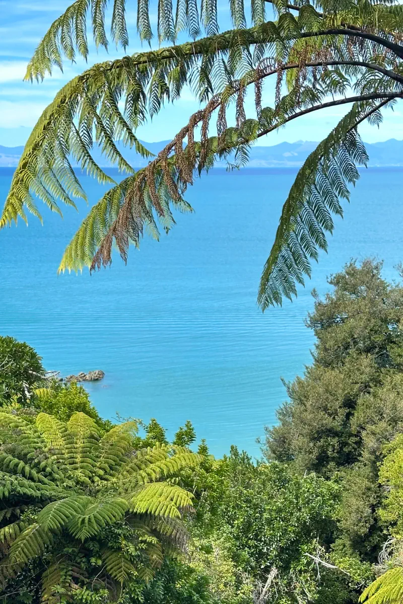 Large fern leaves hang over a scenic ocean view, framing deep blue water and distant hills in the background. Dense green vegetation fills the foreground, giving the scene a tropical and secluded feel.