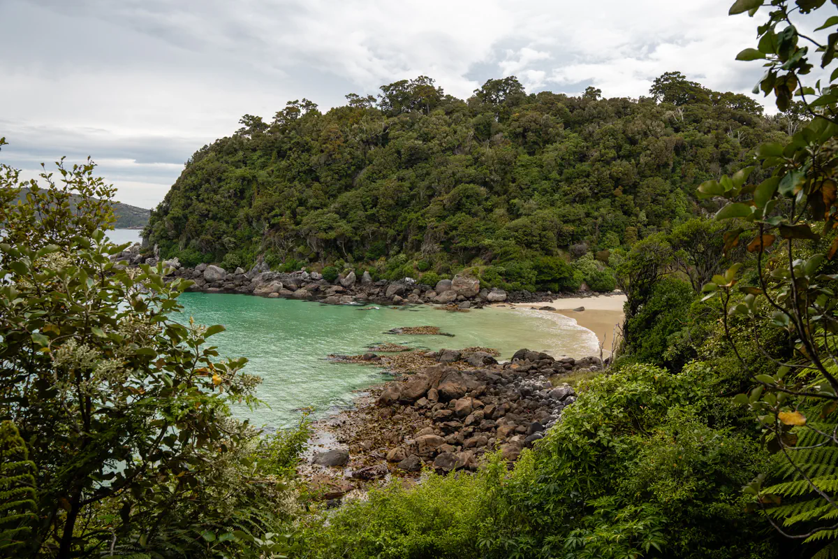 A secluded beach with turquoise water curves around a rocky shoreline backed by dense forest and greenery.