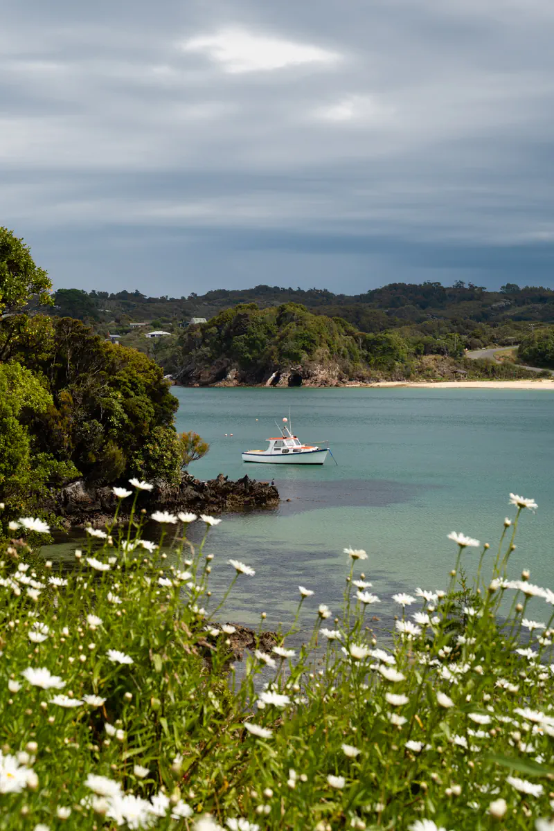 A small boat floats on calm water near a sandy beach framed by greenery and white flowers in the foreground. The peaceful coastal scene highlights still water and a tranquil bay setting.